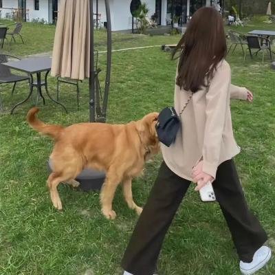 现实之舞海报