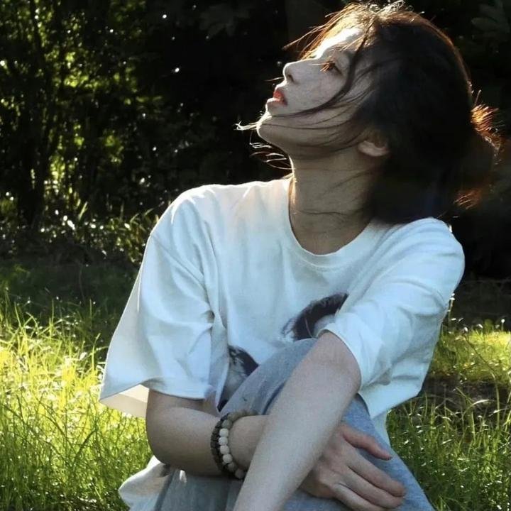 赤松威龙海报